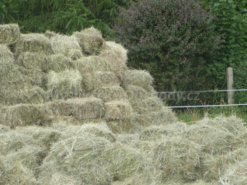 Foto v�robku