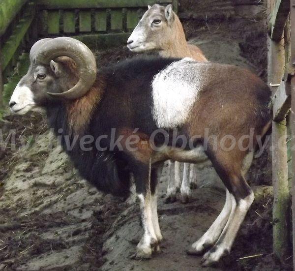 Foto v�robku