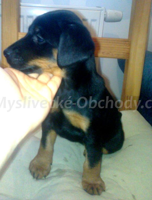 Foto v�robku