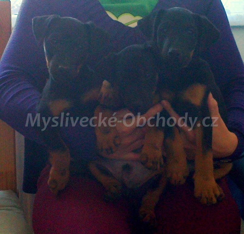 Foto v�robku