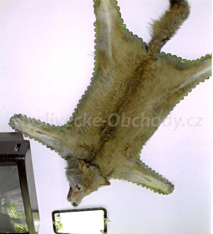 Foto v�robku