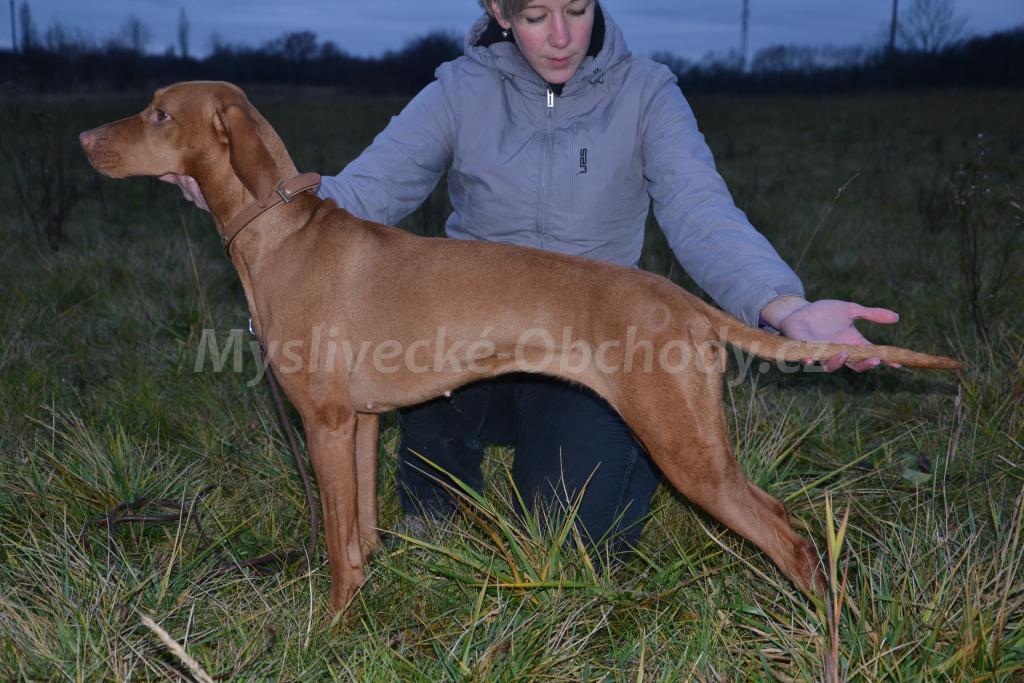 Foto v�robku