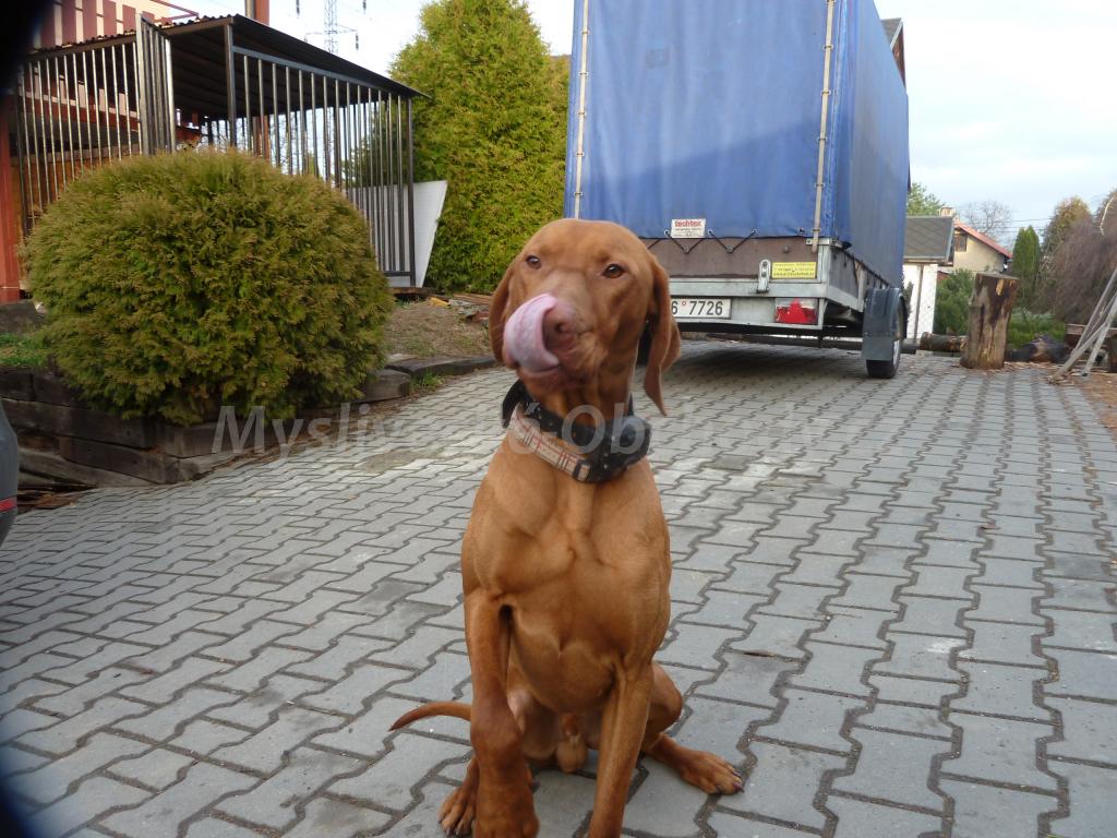 Foto v�robku