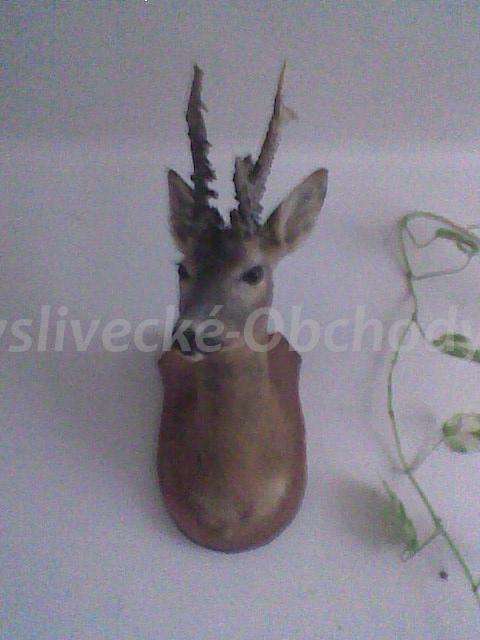Foto v�robku