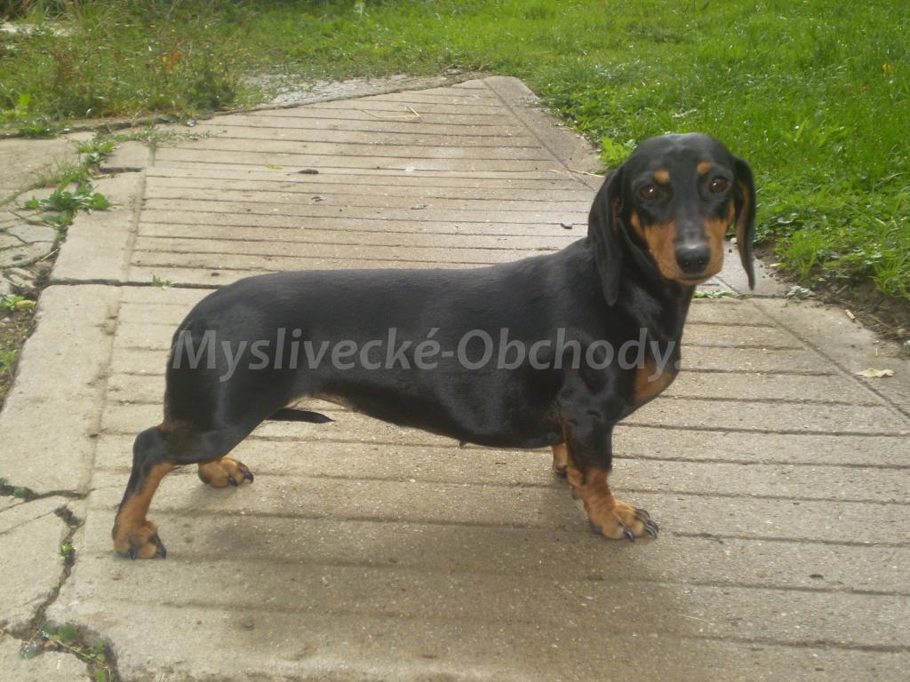 Foto v�robku