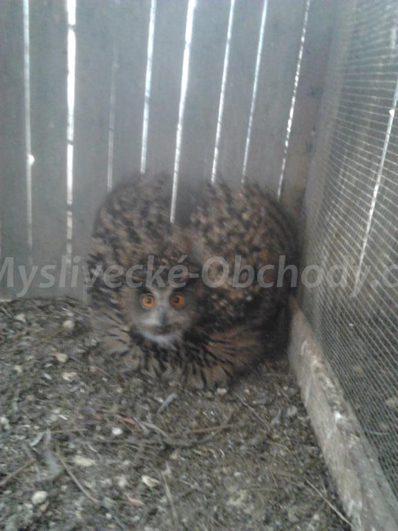 Foto v�robku