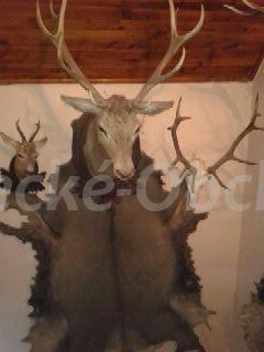 Foto v�robku
