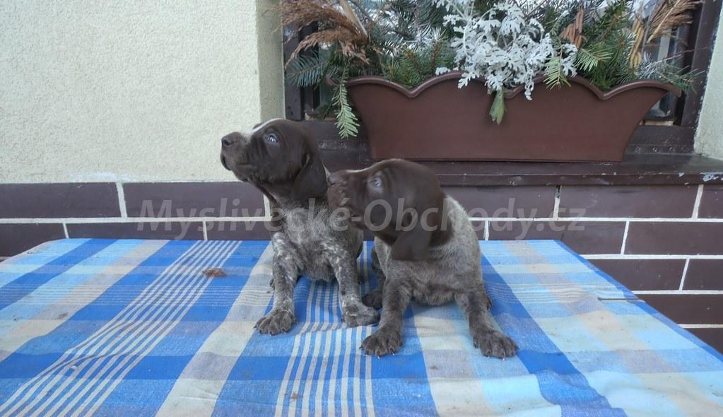 Foto v�robku