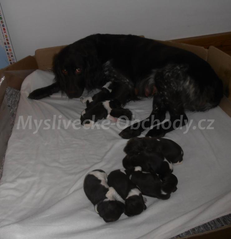 Foto v�robku
