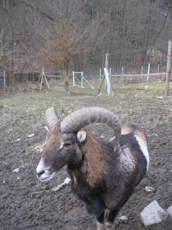 Foto v�robku