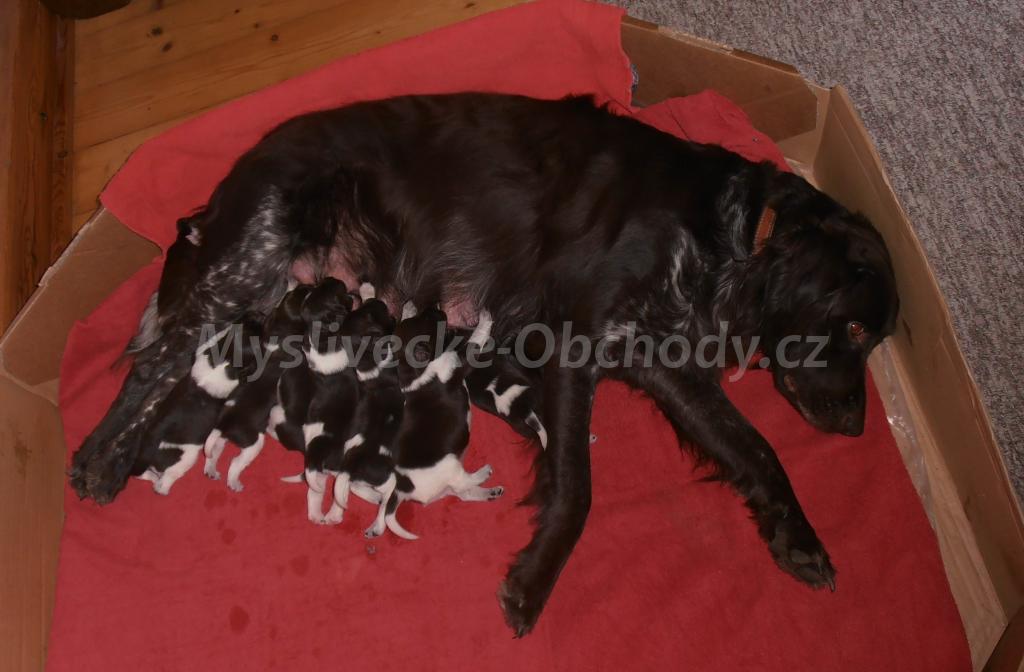 Foto v�robku