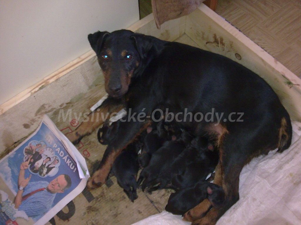 Foto v�robku