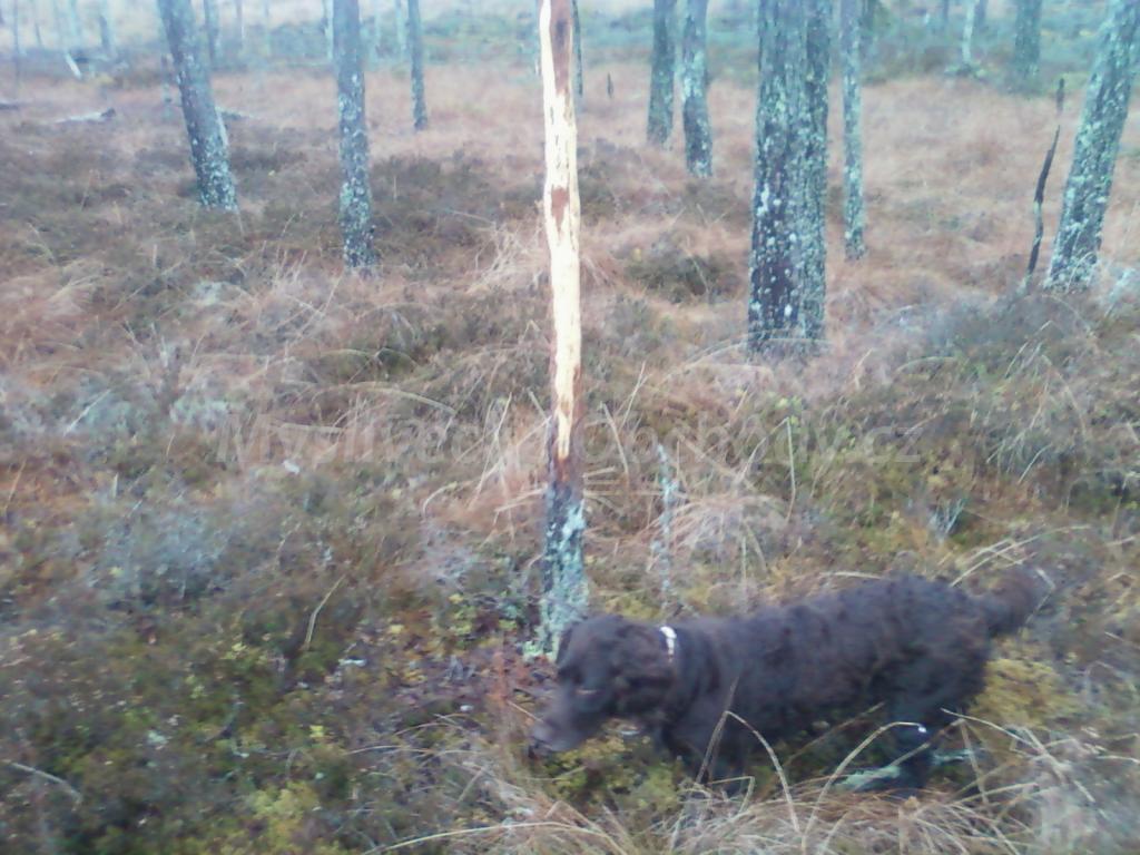 Foto v�robku