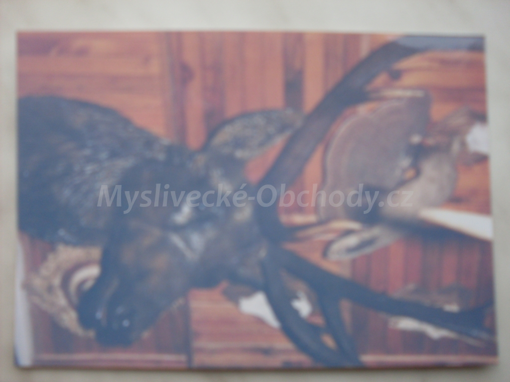 Foto v�robku