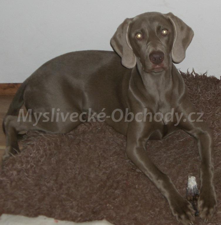 Foto v�robku