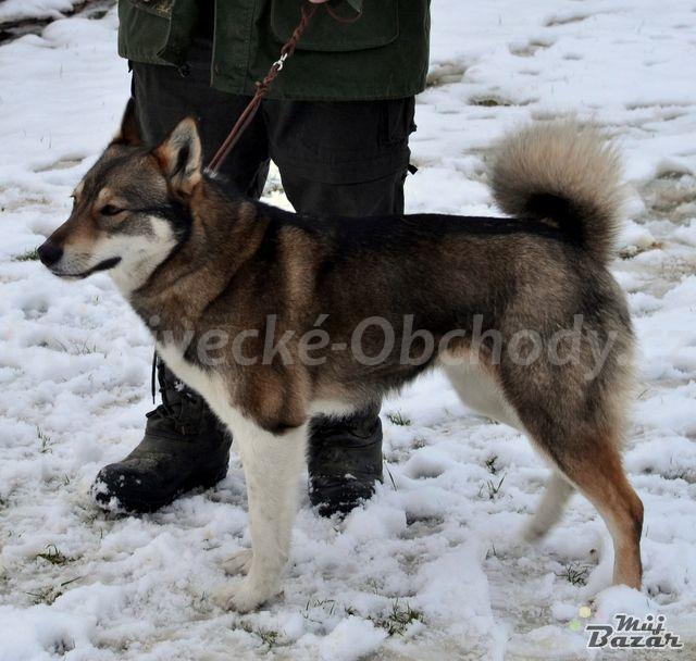 Foto v�robku