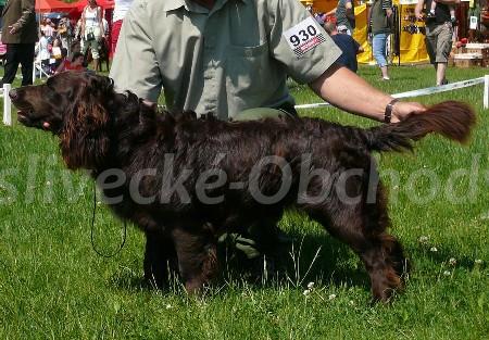 Foto v�robku