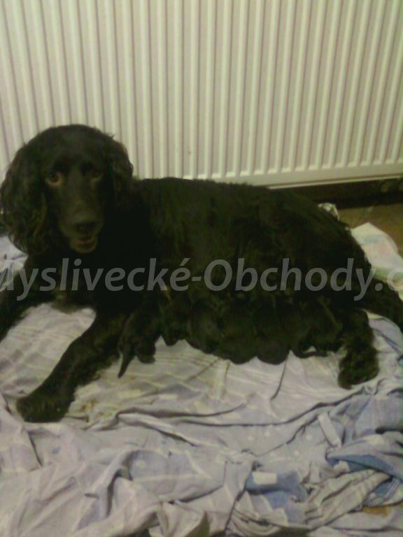Foto v�robku