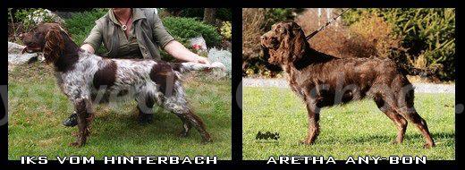 Foto v�robku
