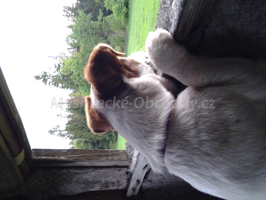 Foto v�robku