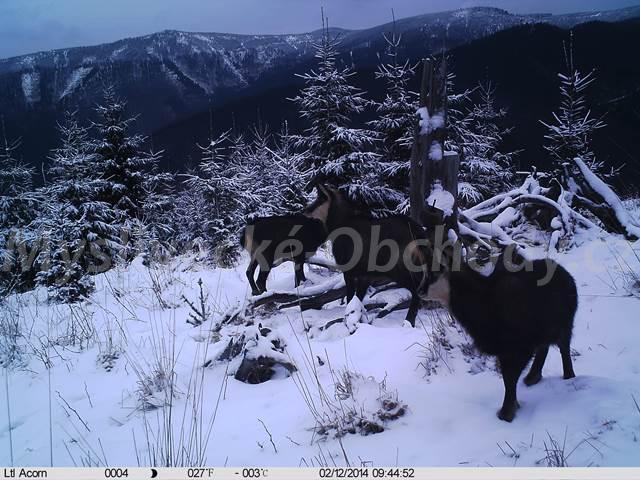 Foto v�robku