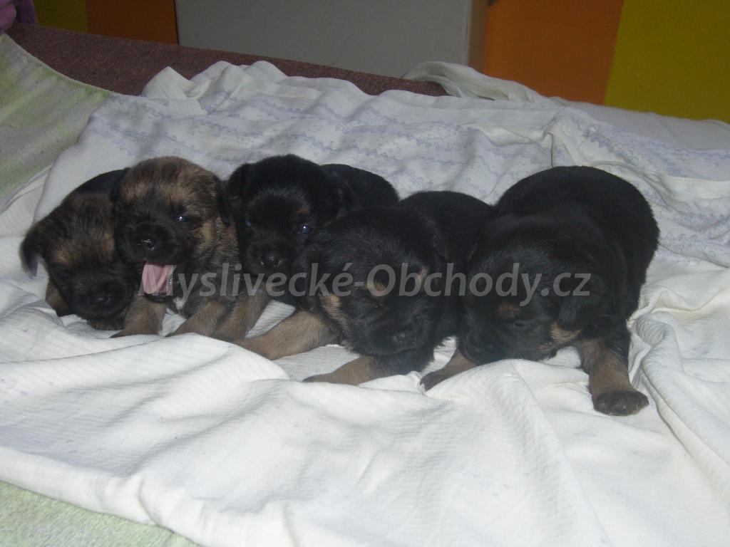 Foto v�robku