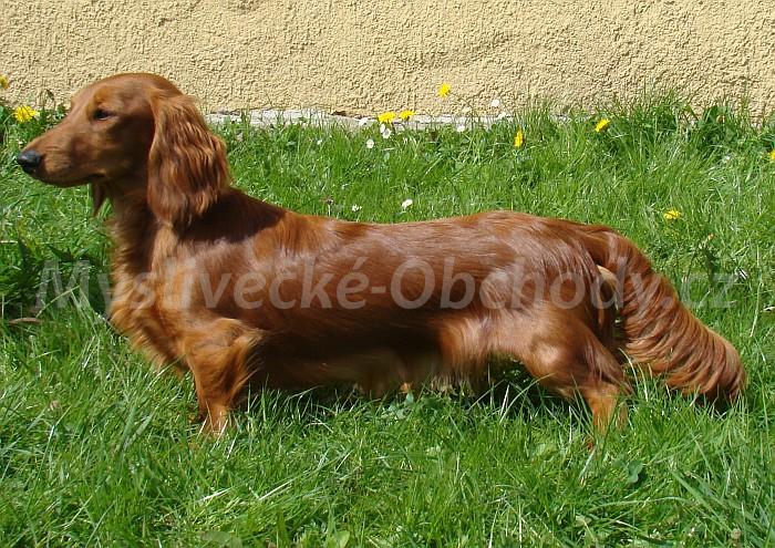 Foto v�robku