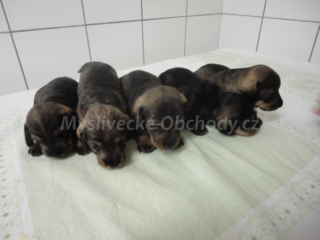 Foto v�robku
