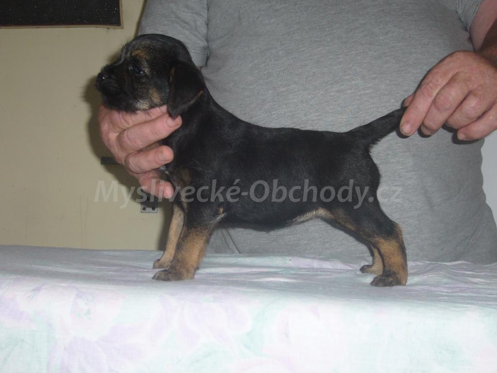 Foto v�robku