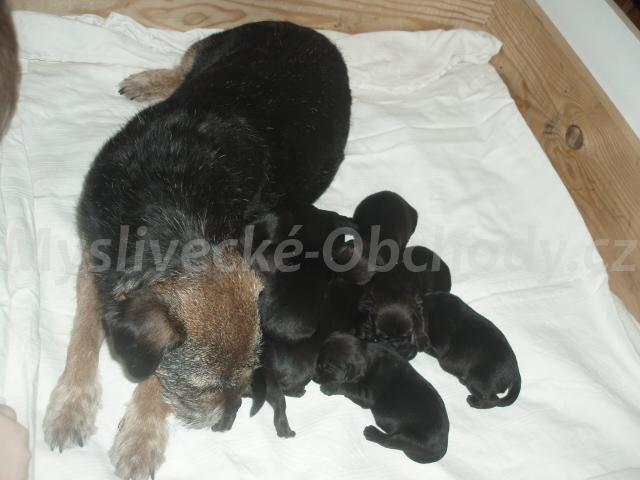 Foto v�robku