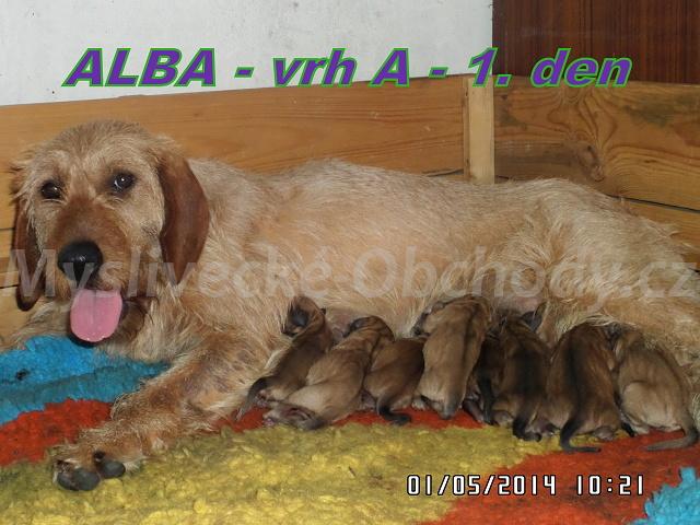 Foto v�robku