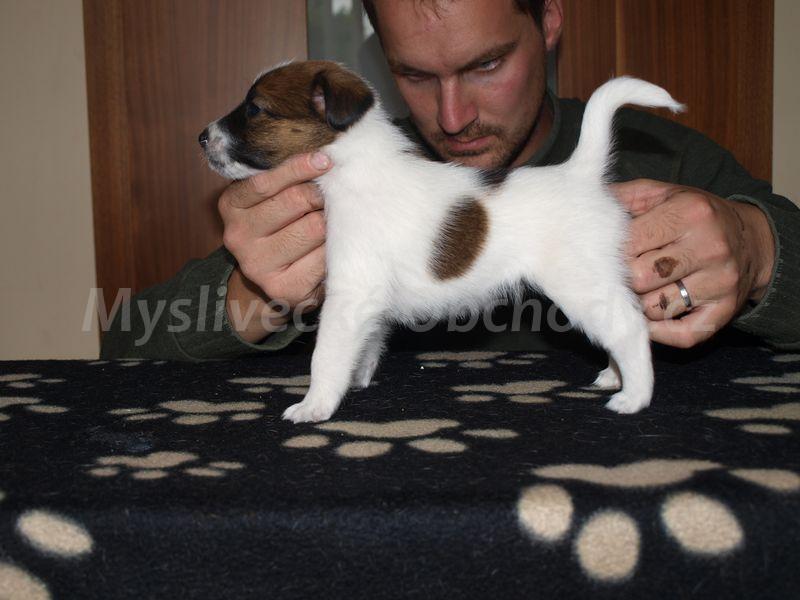 Foto v�robku
