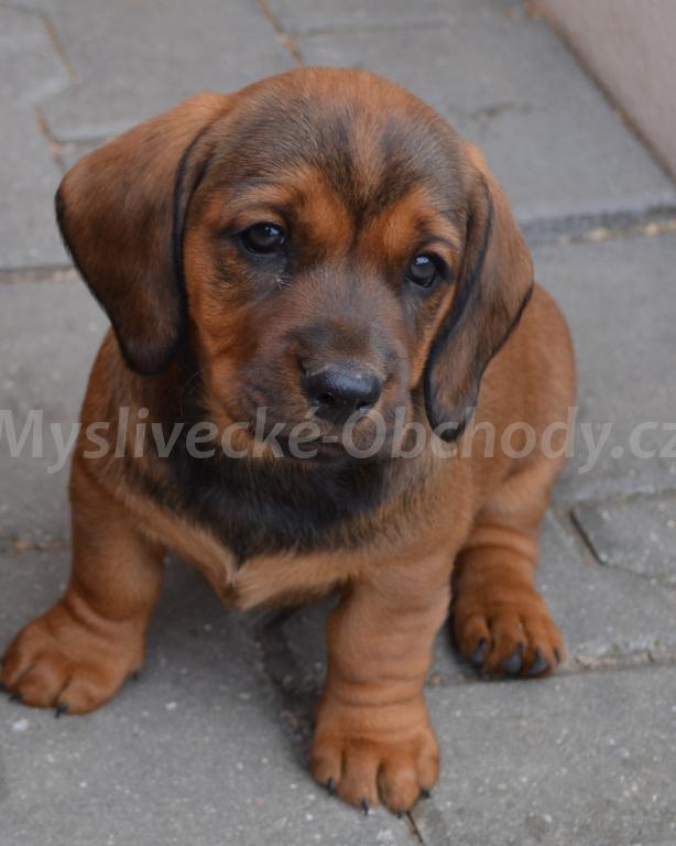 Foto v�robku