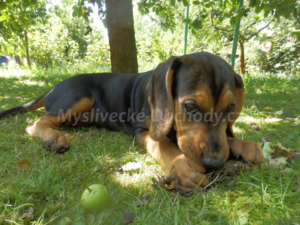 Foto v�robku