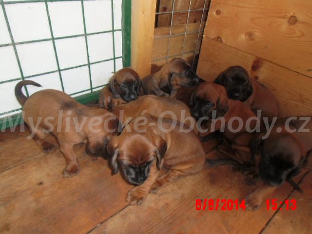 Foto v�robku