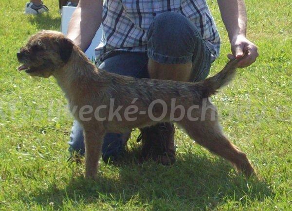 Foto v�robku
