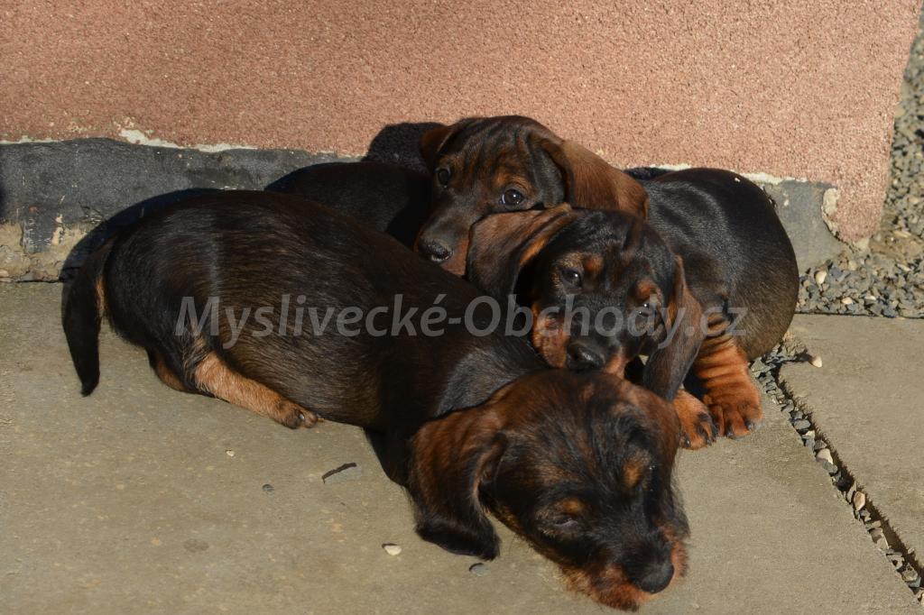 Foto v�robku