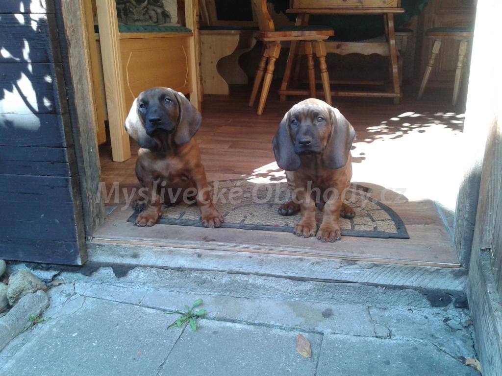 Foto v�robku