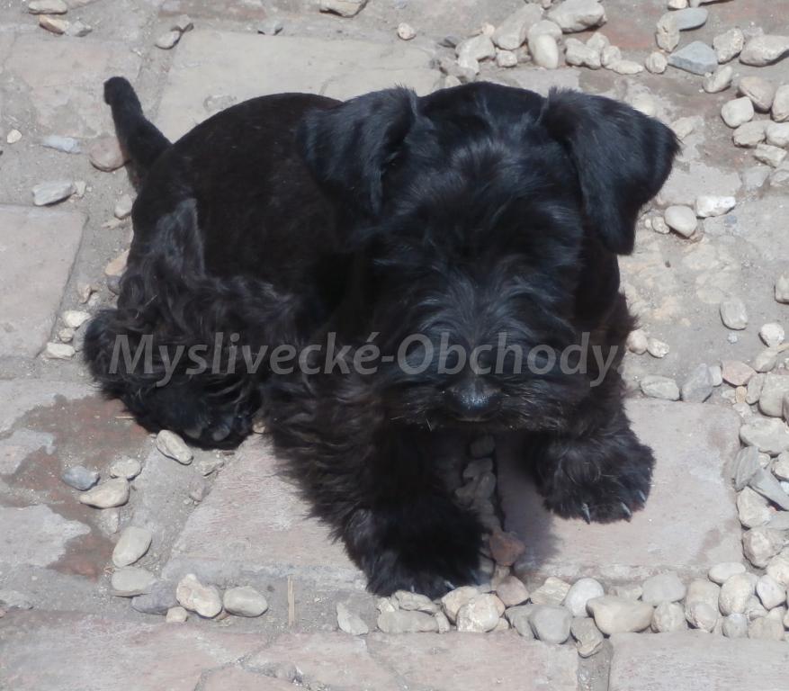 Foto v�robku