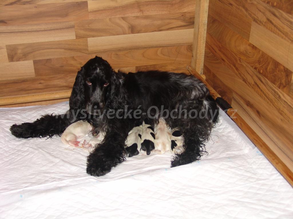 Foto v�robku