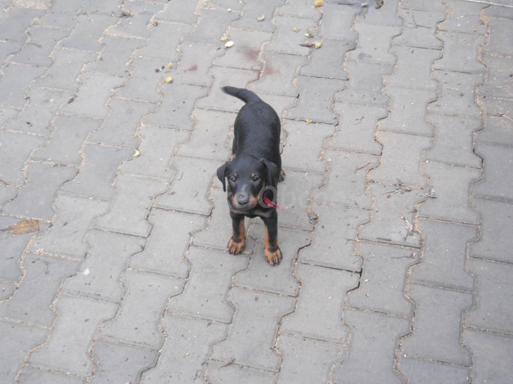 Foto v�robku