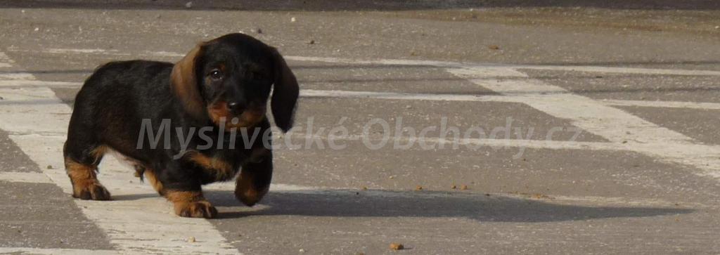 Foto v�robku