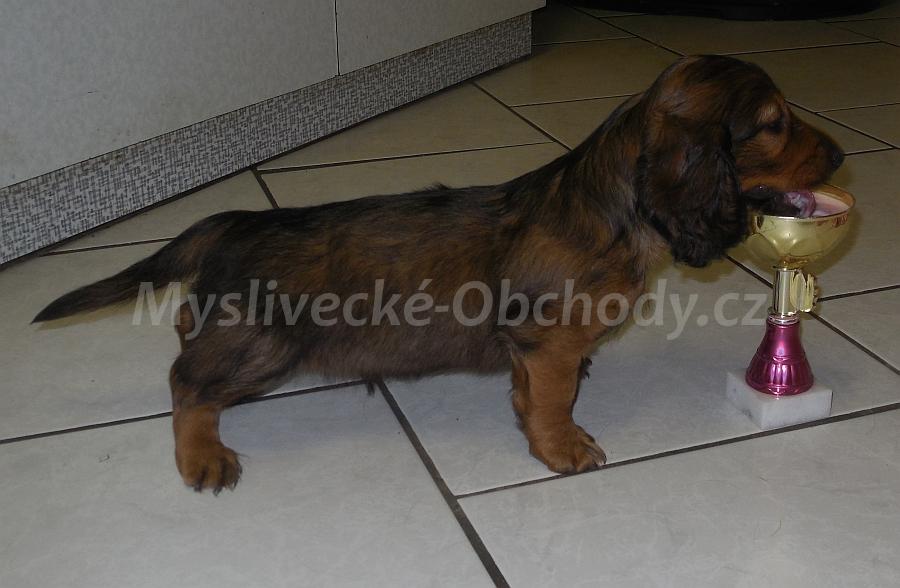 Foto v�robku