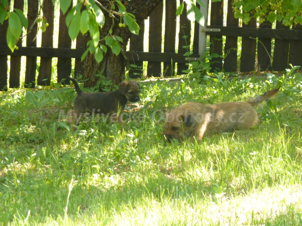 Foto v�robku