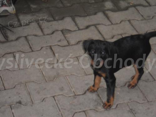 Foto v�robku