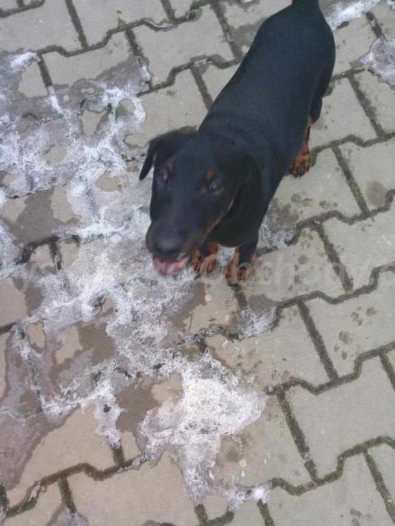 Foto v�robku