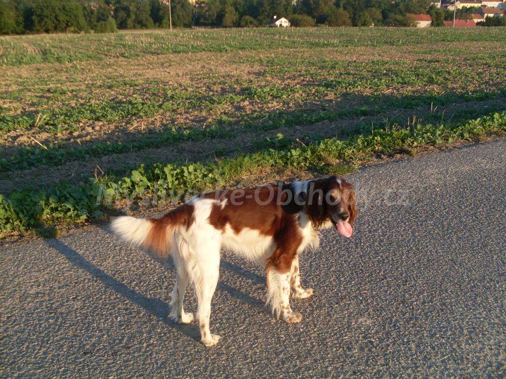 Foto v�robku