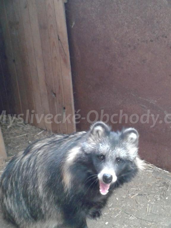 Foto v�robku