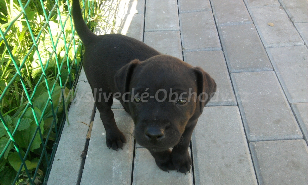 Foto v�robku