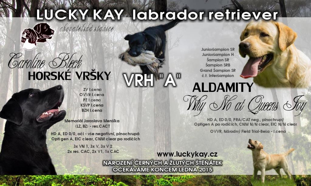 Foto v�robku